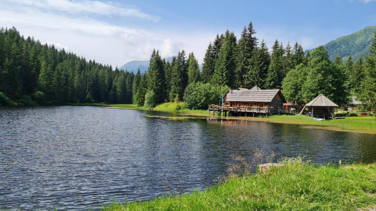 Haus Emmy - Urlaub Bei Freunden Villa Hohentauern Eksteriør bilde